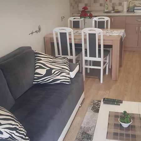 Apartmani V&F Vrnjačka Banja 外观 照片