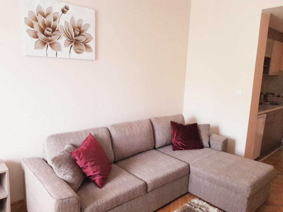Apartmani V&F Vrnjačka Banja 外观 照片