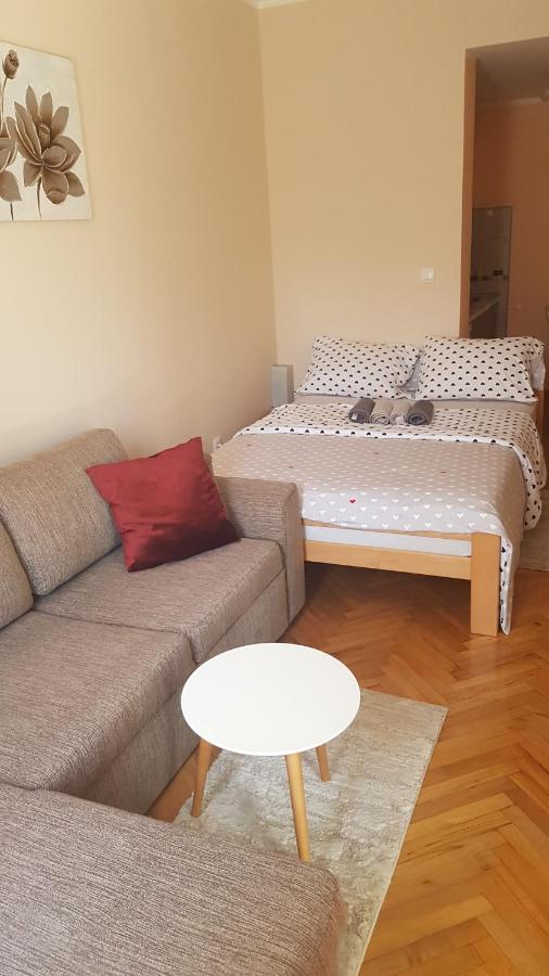 Apartmani V&F Vrnjačka Banja 外观 照片