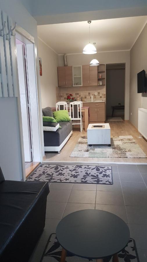 Apartmani V&F Vrnjačka Banja 外观 照片