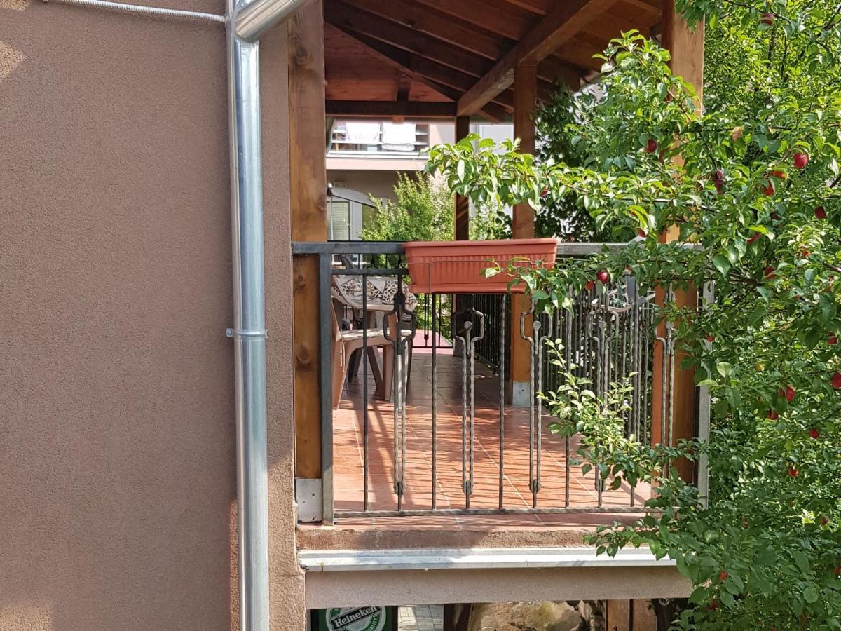 Apartmani V&F Vrnjačka Banja 外观 照片