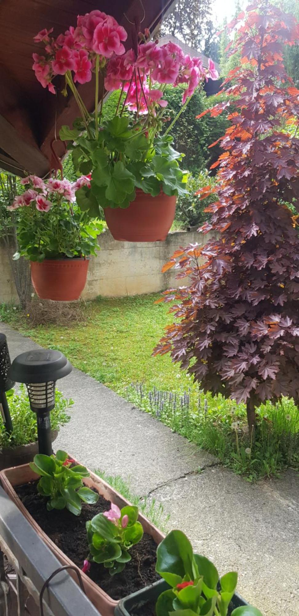 Apartmani V&F Vrnjačka Banja 外观 照片