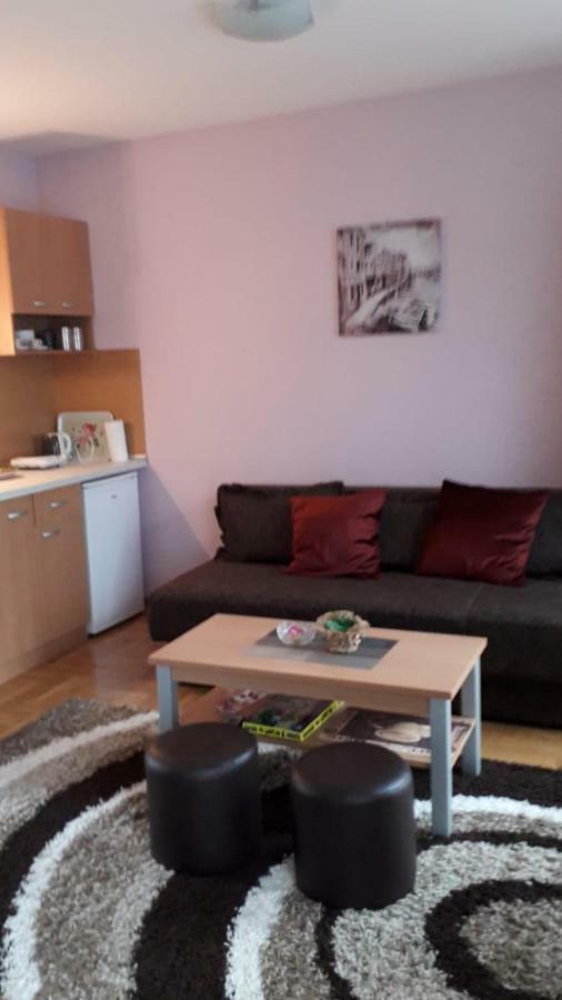 Apartmani V&F Vrnjačka Banja 外观 照片