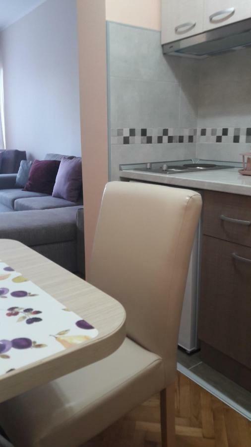 Apartmani V&F Vrnjačka Banja 外观 照片