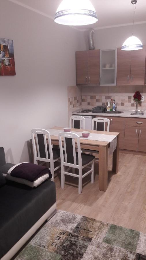 Apartmani V&F Vrnjačka Banja 外观 照片